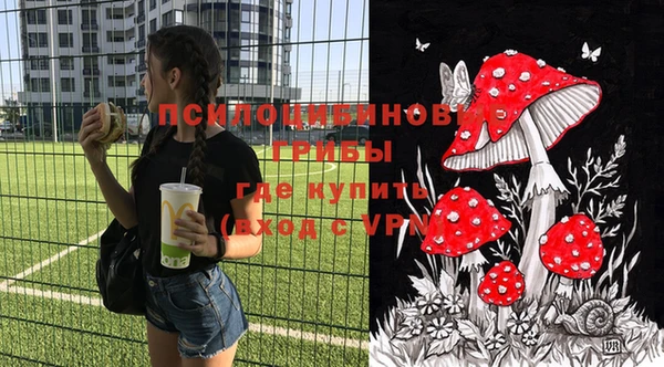 бутират Алзамай