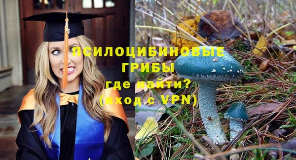 бутират Алексеевка